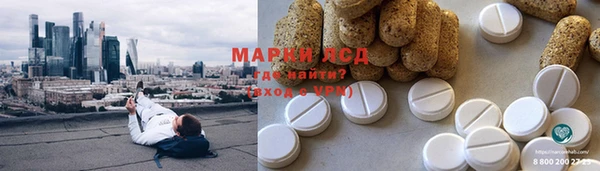 ПСИЛОЦИБИНОВЫЕ ГРИБЫ Михайловка