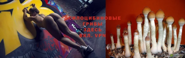 ПСИЛОЦИБИНОВЫЕ ГРИБЫ Михайловка