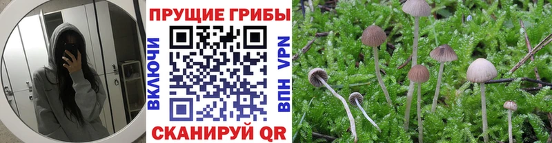 площадка клад  купить наркотики сайты  ОМГ ОМГ вход  Устюжна  Галлюциногенные грибы мухоморы 